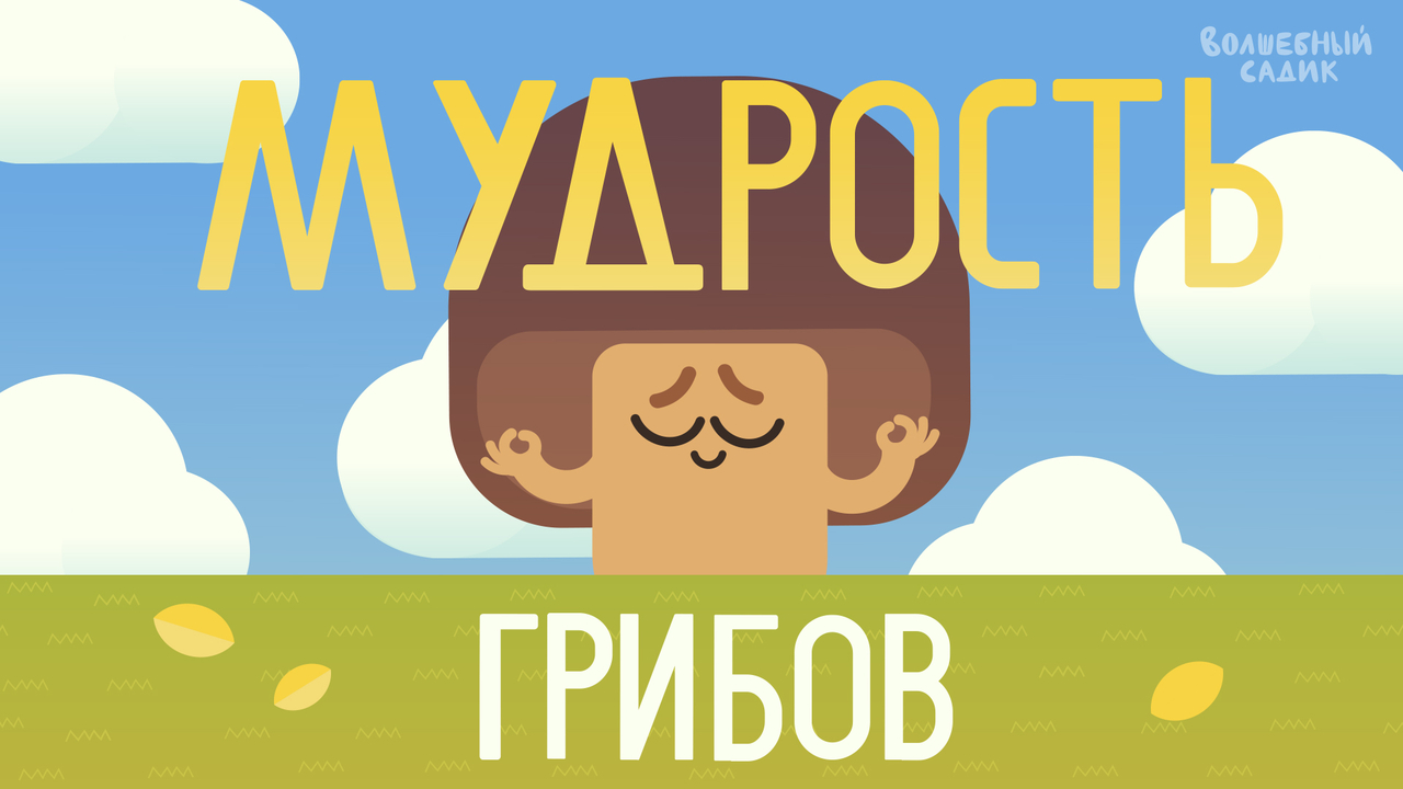Мудрость грибов